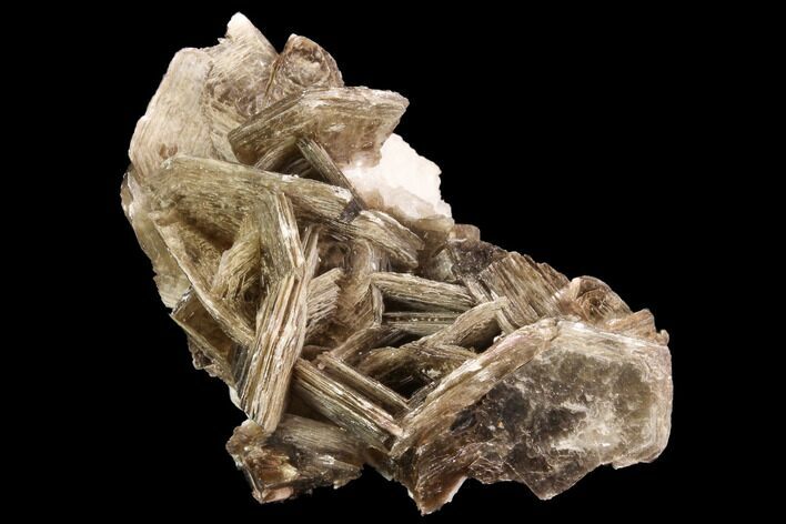 Muscovite & White Albite Crystal Association - Brazil #95570